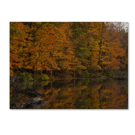 Trademark Fine Art Kurt Shaffer 'Still Golden Reflections' Canvas Art, 14x19 KS01047-C1419GG